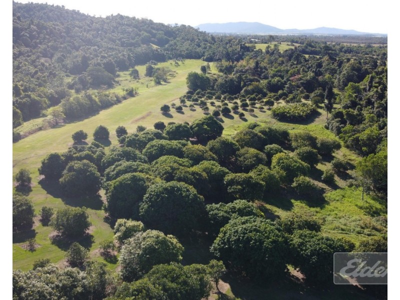 670 El Arish  Mission Beach Road, Mission Beach QLD 4852