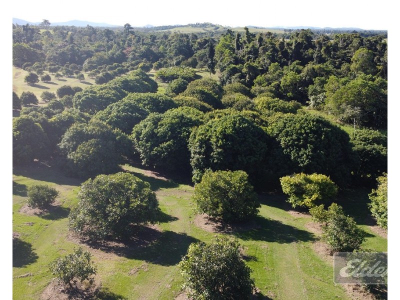 670 El Arish  Mission Beach Road, Mission Beach QLD 4852