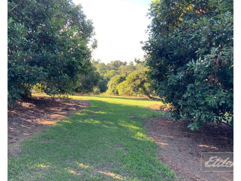 670 El Arish  Mission Beach Road, Mission Beach QLD 4852