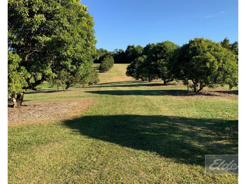 670 El Arish  Mission Beach Road, Mission Beach QLD 4852