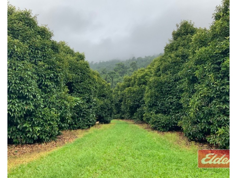 88 GULLOTTA ROAD, Silkwood QLD 4856