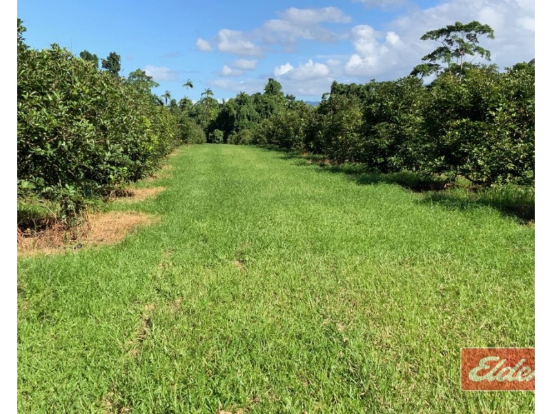 88 GULLOTTA ROAD, Silkwood QLD 4856