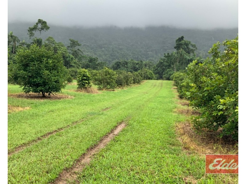 88 GULLOTTA ROAD, Silkwood QLD 4856