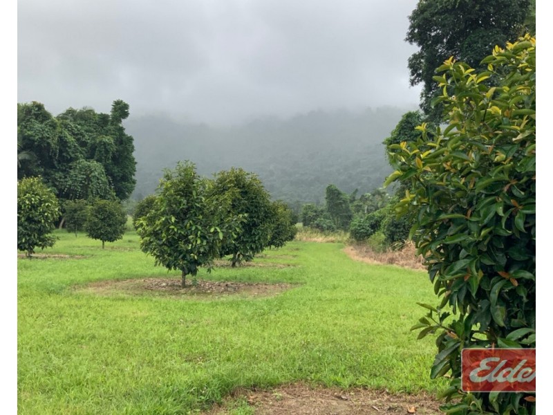 88 GULLOTTA ROAD, Silkwood QLD 4856