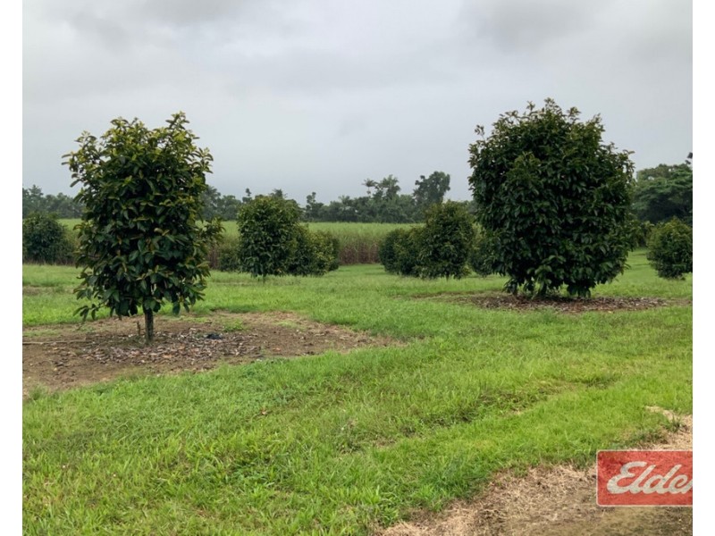 88 GULLOTTA ROAD, Silkwood QLD 4856