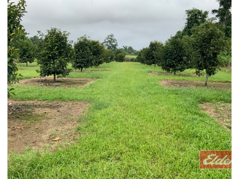 88 GULLOTTA ROAD, Silkwood QLD 4856