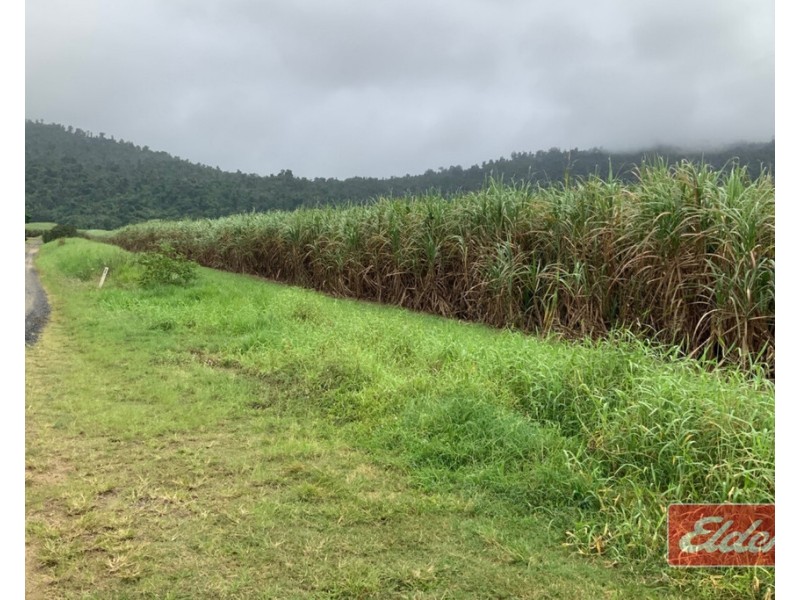 88 GULLOTTA ROAD, Silkwood QLD 4856