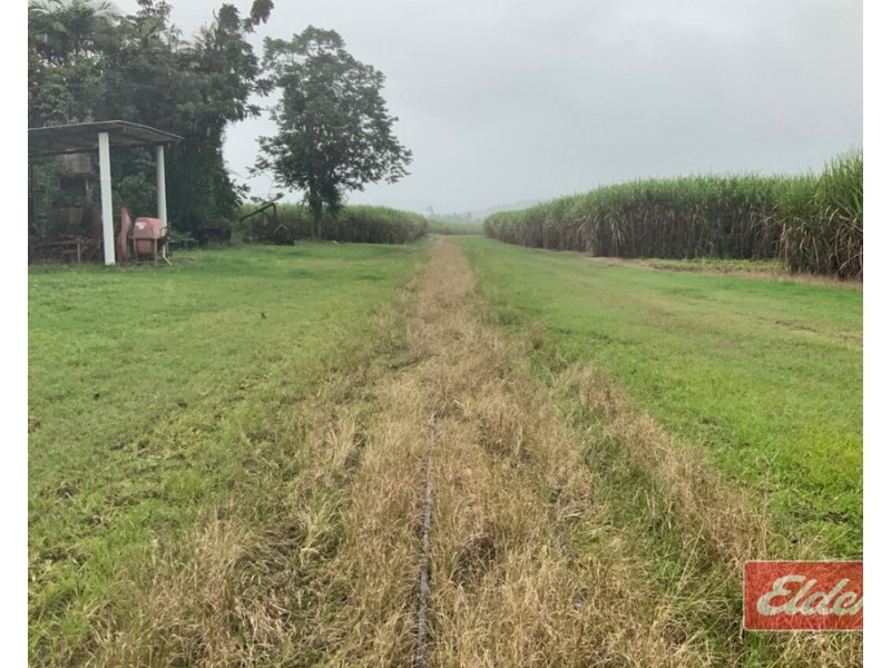 88 GULLOTTA ROAD, Silkwood QLD 4856