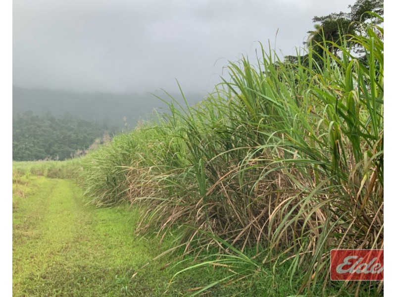 88 GULLOTTA ROAD, Silkwood QLD 4856