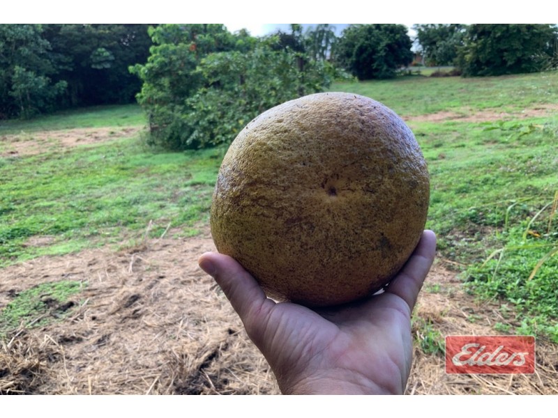 lot 4 MARTYVILLE ROAD, Martyville QLD 4858