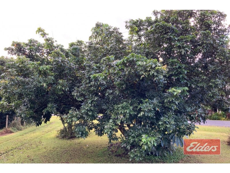 lot 4 MARTYVILLE ROAD, Martyville QLD 4858