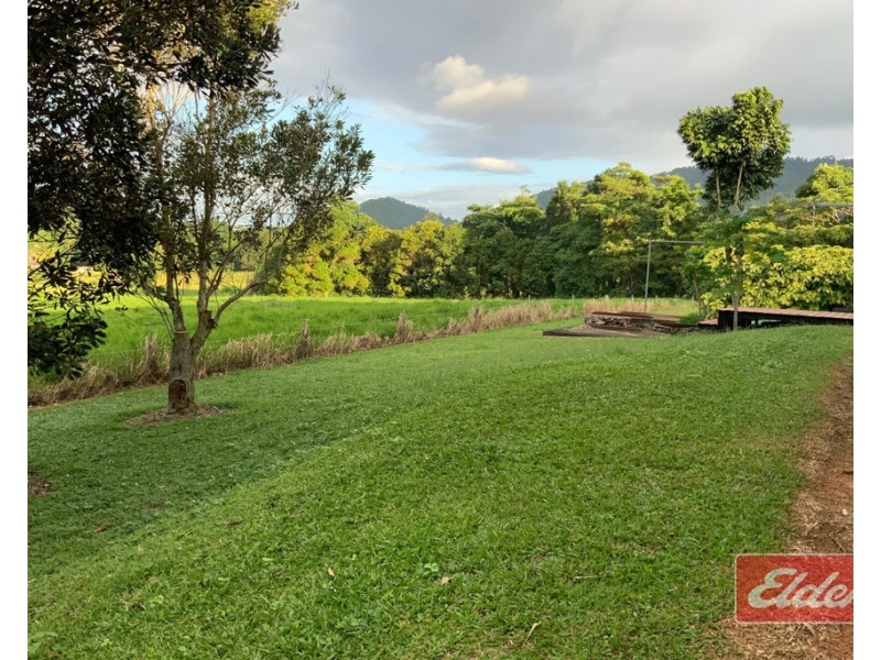 555 BINGIL BAY ROAD, Bingil Bay QLD 4852