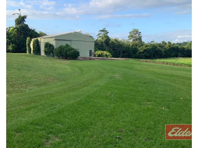 555 BINGIL BAY ROAD, Bingil Bay QLD 4852