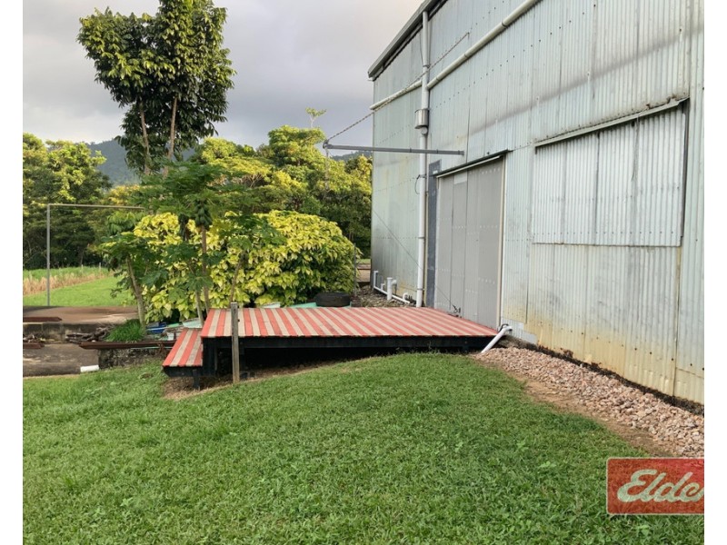 555 BINGIL BAY ROAD, Bingil Bay QLD 4852