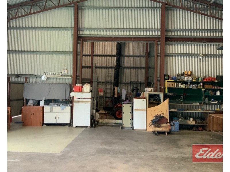 555 BINGIL BAY ROAD, Bingil Bay QLD 4852