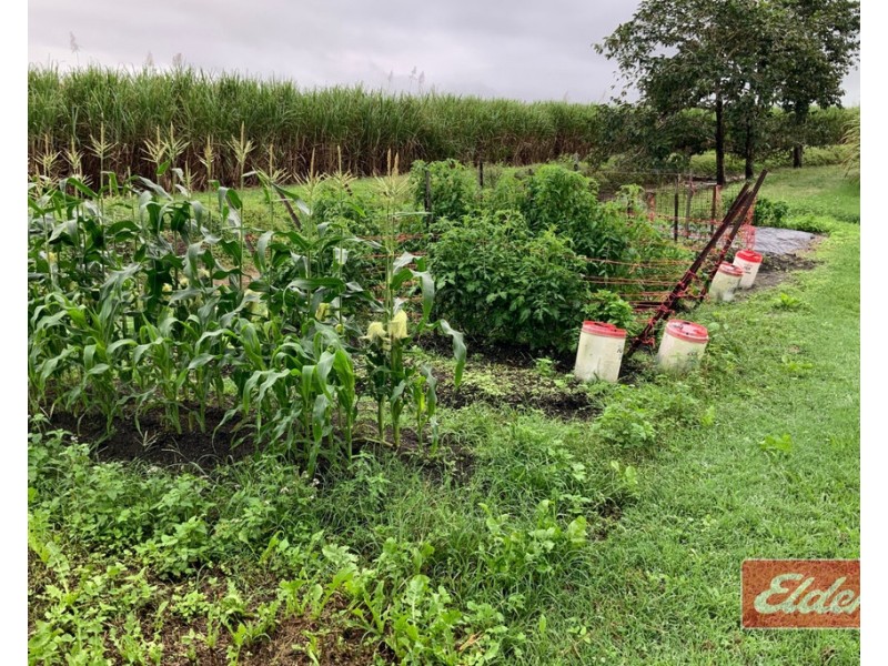 64 BROSNAN ROAD, Tully QLD 4854