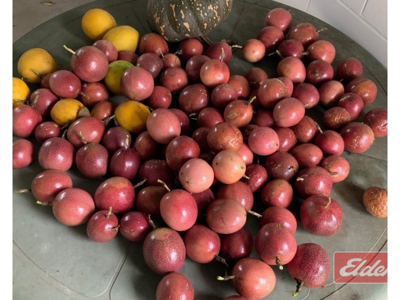 64 BROSNAN ROAD, Tully QLD 4854