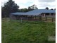 23 O’Hanlon Road (L6 Bulgun Rd), Feluga QLD 4854