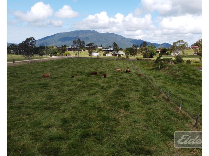 23 O’Hanlon Road (L6 Bulgun Rd), Feluga QLD 4854