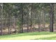North Deep Creek QLD 4570