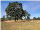 Lot 41 Watergum Drive, Pie Creek QLD 4570