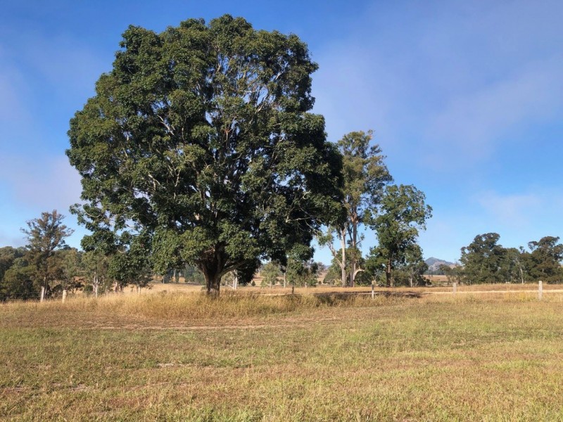 Lot 41 Watergum Drive, Pie Creek QLD 4570