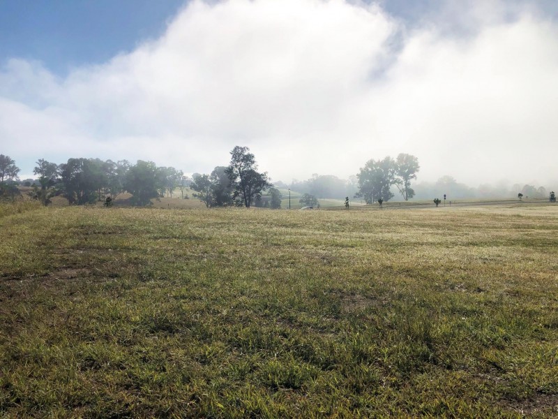 Lot 41 Watergum Drive, Pie Creek QLD 4570