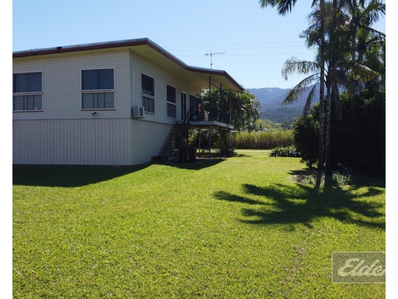 384 BULGUN ROAD, Bulgun QLD 4854