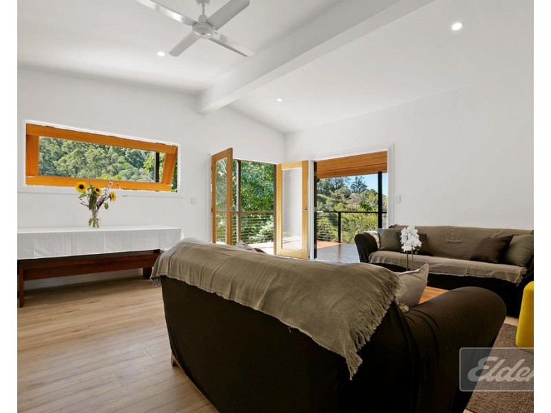 705 BLACK MOUNTAIN ROAD, Black Mountain QLD 4563