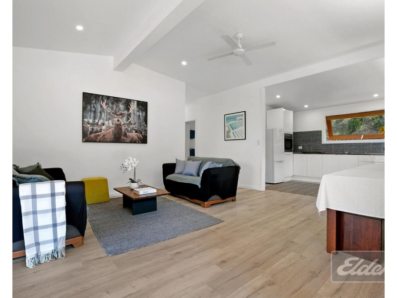 705 BLACK MOUNTAIN ROAD, Black Mountain QLD 4563