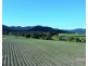 . FELUGA ROAD, Feluga QLD 4854