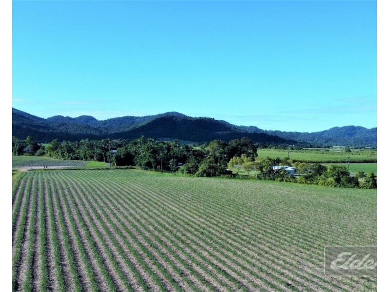 . FELUGA ROAD, Feluga QLD 4854