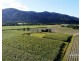 . FELUGA ROAD, Feluga QLD 4854