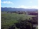 . FELUGA ROAD, Feluga QLD 4854