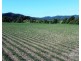 . FELUGA ROAD, Feluga QLD 4854