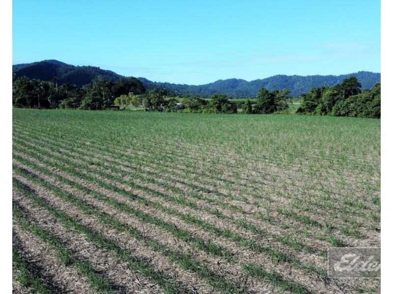 . FELUGA ROAD, Feluga QLD 4854