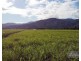 . FELUGA ROAD, Feluga QLD 4854