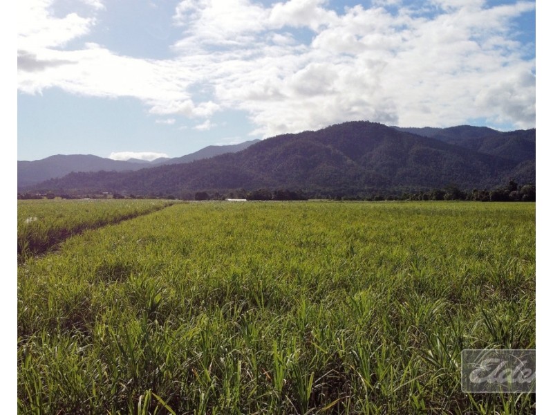 . FELUGA ROAD, Feluga QLD 4854
