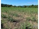 . FELUGA ROAD, Feluga QLD 4854