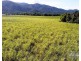 . FELUGA ROAD, Feluga QLD 4854