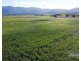 . FELUGA ROAD, Feluga QLD 4854