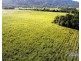 . FELUGA ROAD, Feluga QLD 4854
