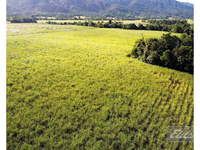 . FELUGA ROAD, Feluga QLD 4854