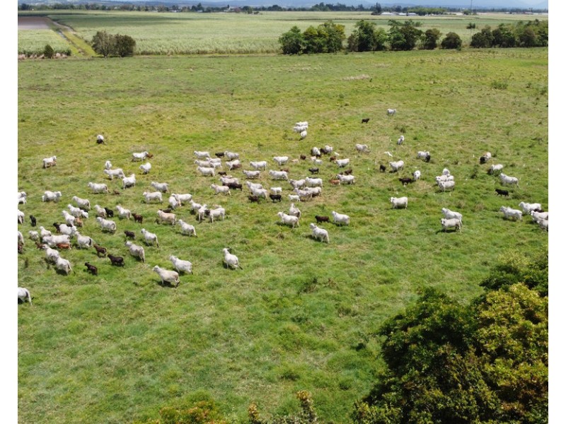 64000 BRUCE HIGHWAY, Silkwood QLD 4856