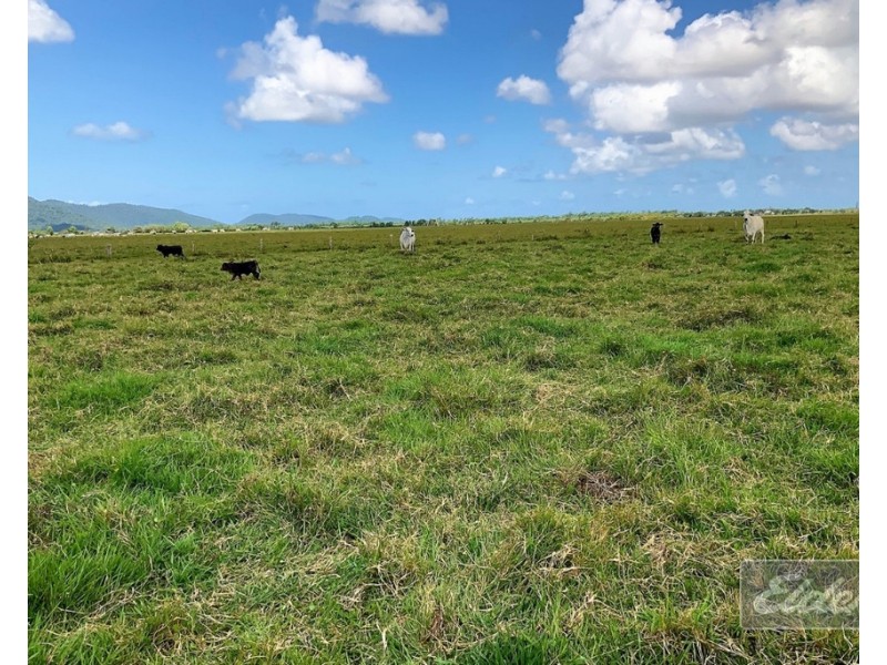 64000 BRUCE HIGHWAY, Silkwood QLD 4856