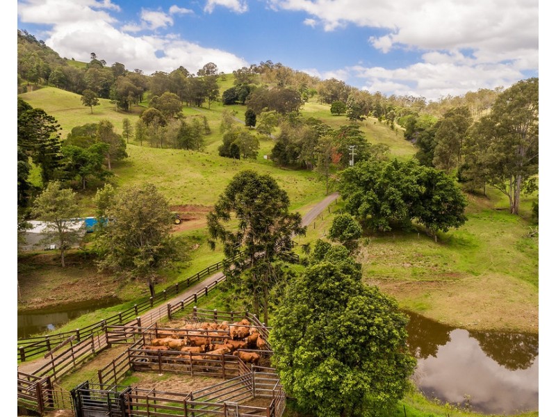 213 COPPERMINE CREEK ROAD, Langshaw QLD 4570