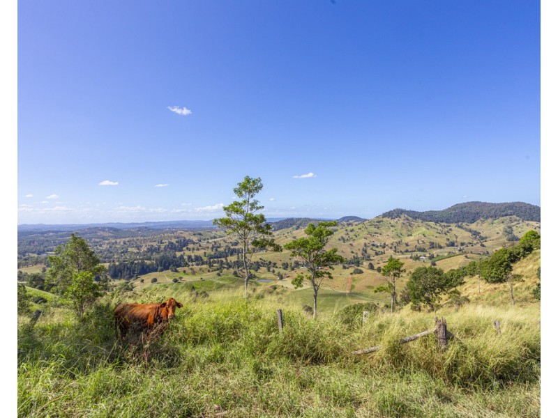 213 COPPERMINE CREEK ROAD, Langshaw QLD 4570