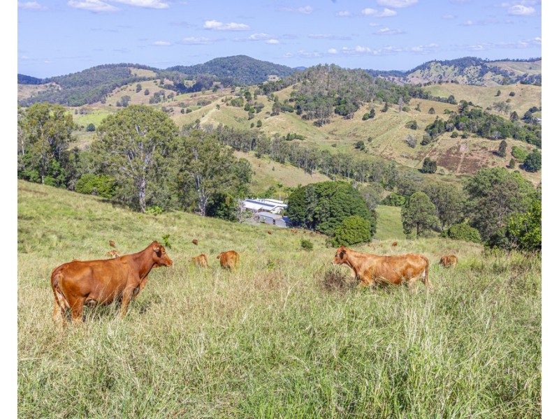 213 COPPERMINE CREEK ROAD, Langshaw QLD 4570