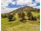 213 COPPERMINE CREEK ROAD, Langshaw QLD 4570