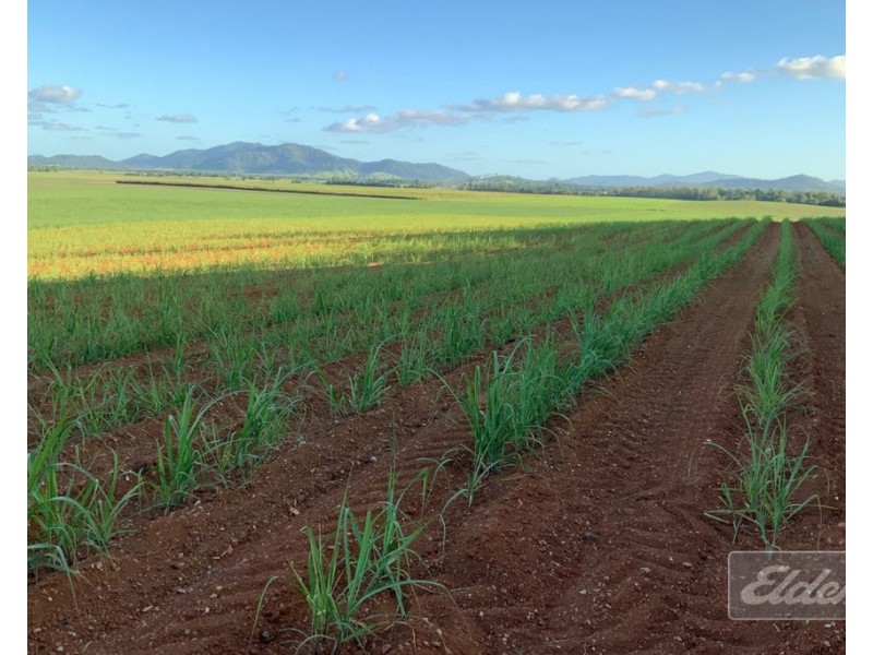 Lot 1 Formosa Road, Silkwood QLD 4856